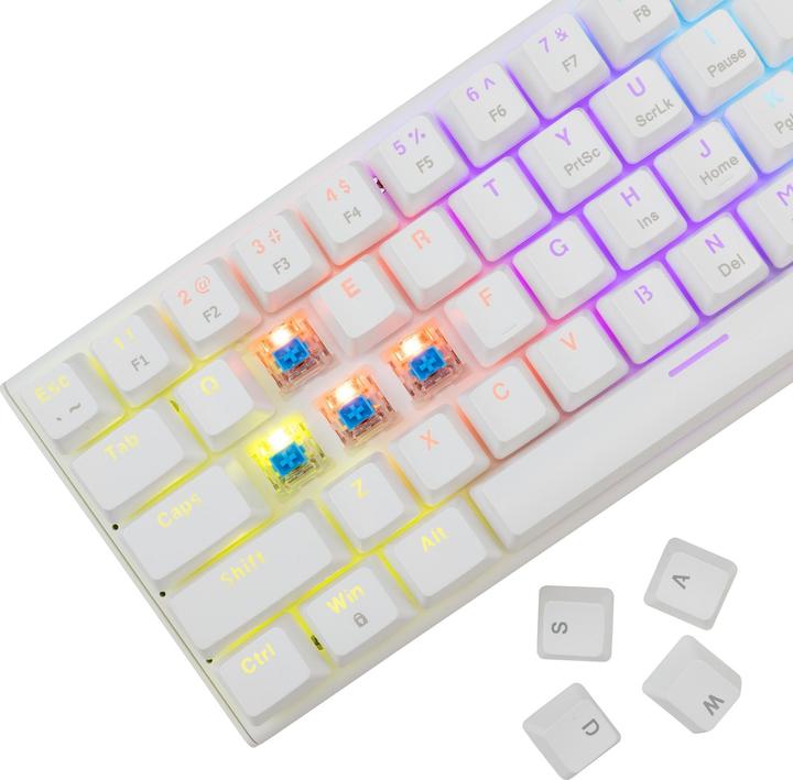 Actual product image White Shark GK-002221V2 Wakizashi-2 White US-Blue.SW (US, Cable)
