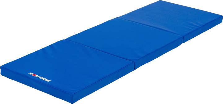Actual product image Sport-Thieme Softi gym and play mat