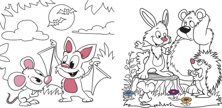 Actual product image Animal colouring book Funny motifs to colour in