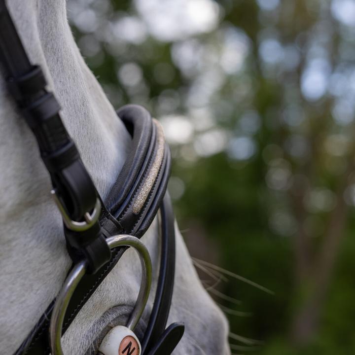 Image du produit Canter Mylord