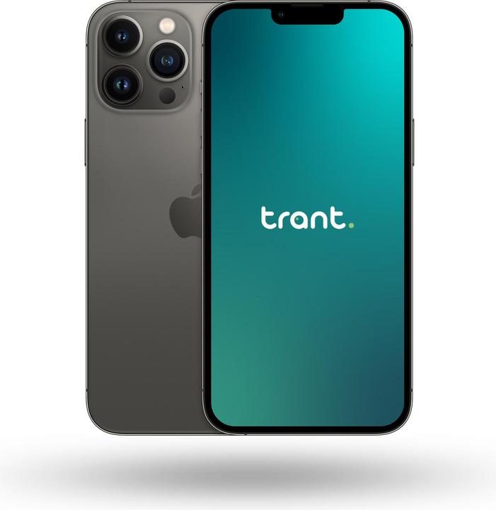 Image du produit Trant.ch iPhone 13 Pro Max (1000 Go, Graphite, 6.70", Double SIM, C / Bon)