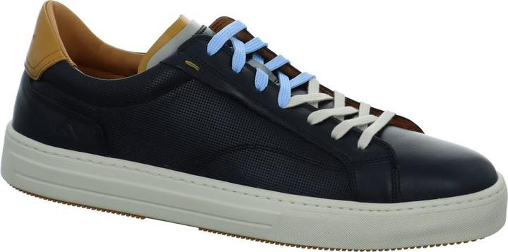 Image du produit Ambitious Anapolis (46)