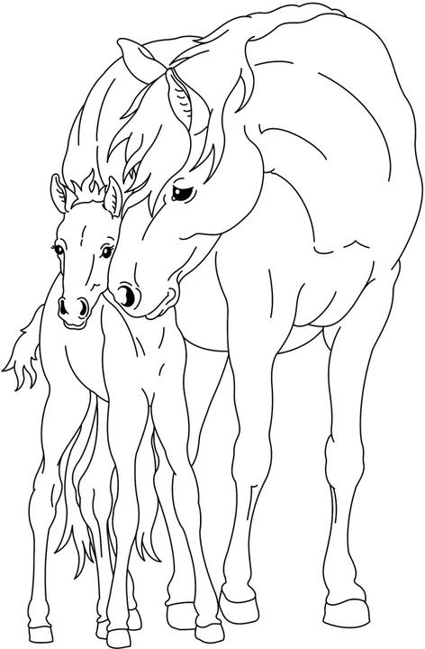 Produktbild Mein superdicker Pferdefreunde-Malblock