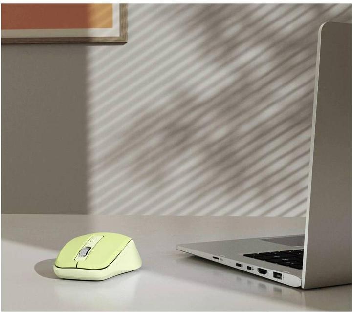 Actual product image Hama WM-450 (Wireless)