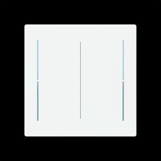 Actual product image Busch-Jaeger Cover