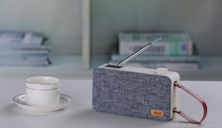 Actual product image Sayva noose Speaker (DAB+, FM, Bluetooth)