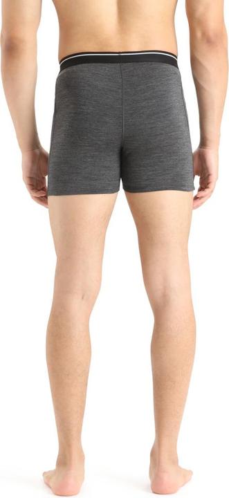 Actual product image Icebreaker Anatomica (L)