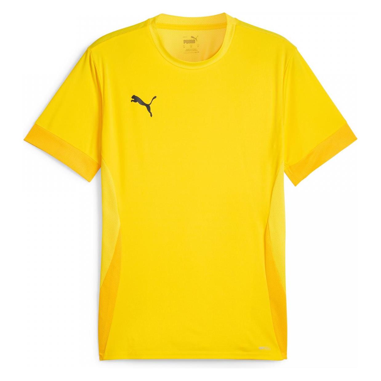 Puma, Herren, Sportshirt, TeamGOAL Matchday Jersey (L), Grün, L