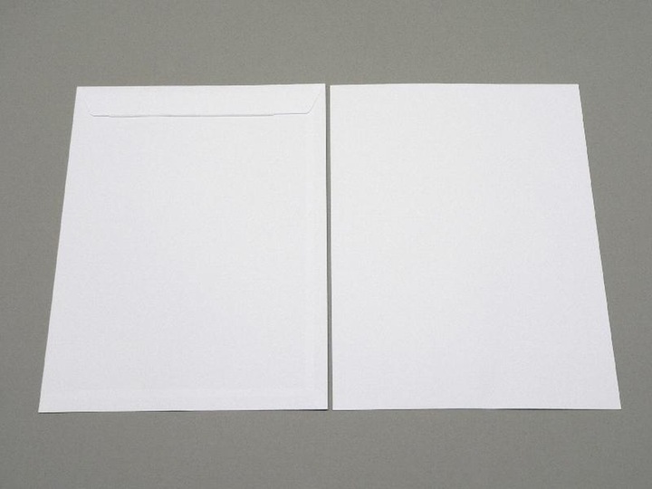 Produktbild Blanke Versandtaschen 305x406mm 120g/qm haftklebend VE=250 Stück weiss (250 x)