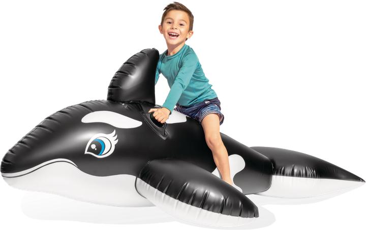 Actual product image Intex Whale