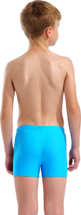 Image du produit Arena B Graphic Swim Short (128)