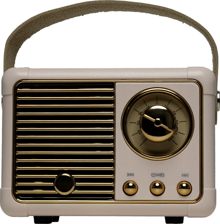 Denver Altoparlante retrò BT BTP-203 (4 h, Batteria ricaricabile)