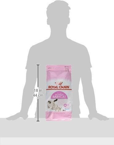 Produktbild Royal Canin Babycat 34 (Junior, 1 Stk., 2000 g)