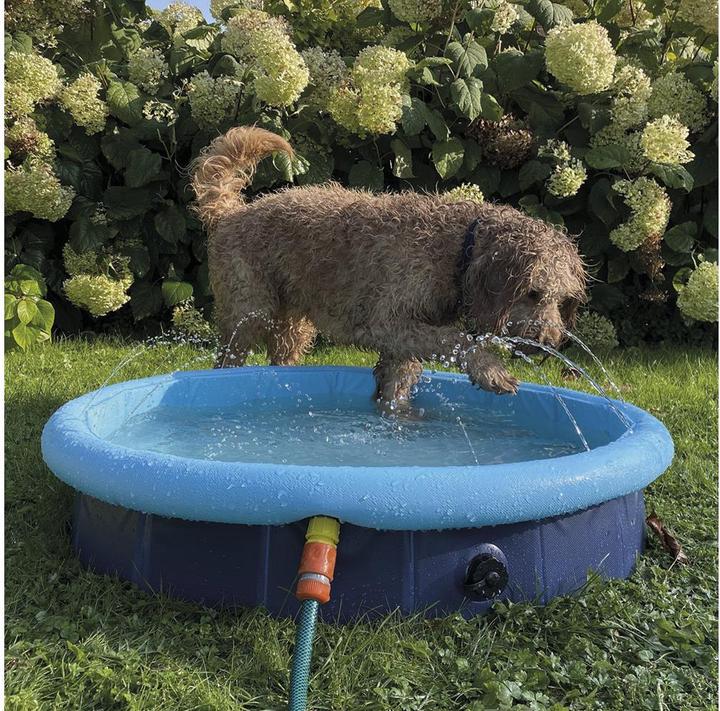 Actual product image Nobby Dog pool Splash (Dog pool)