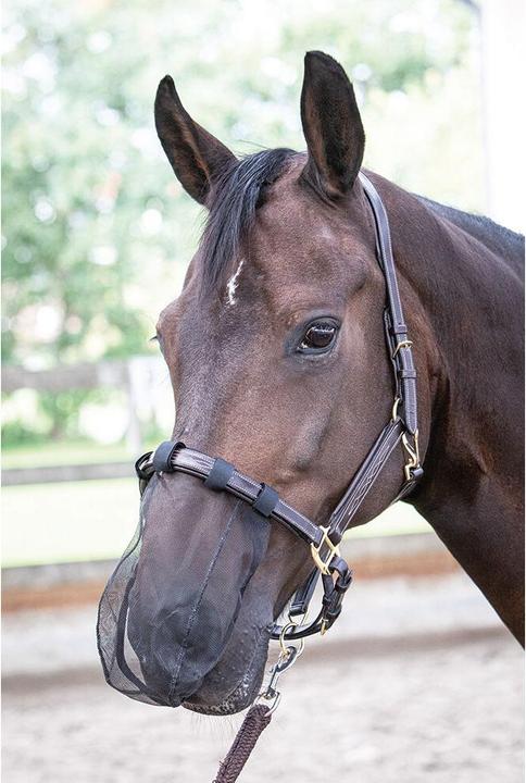 Actual product image Harry's Horse Nasal protection for horses