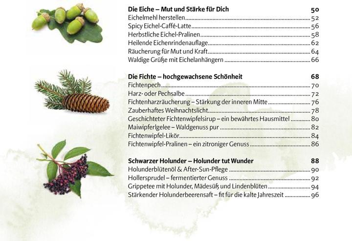Produktbild Aromatischer Wald (Deutsch, Doris Kern, 2020)