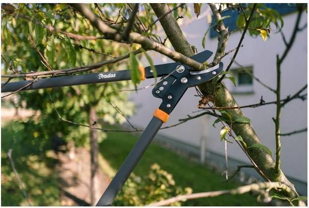 Immagine prodotto Bradas Cesoie per rami con cambio V-SERIES Lama a incudine