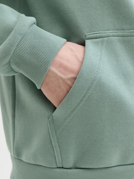 Produktbild Jack & Jones Jjebradley Sweat Zip Hood Noos (M)