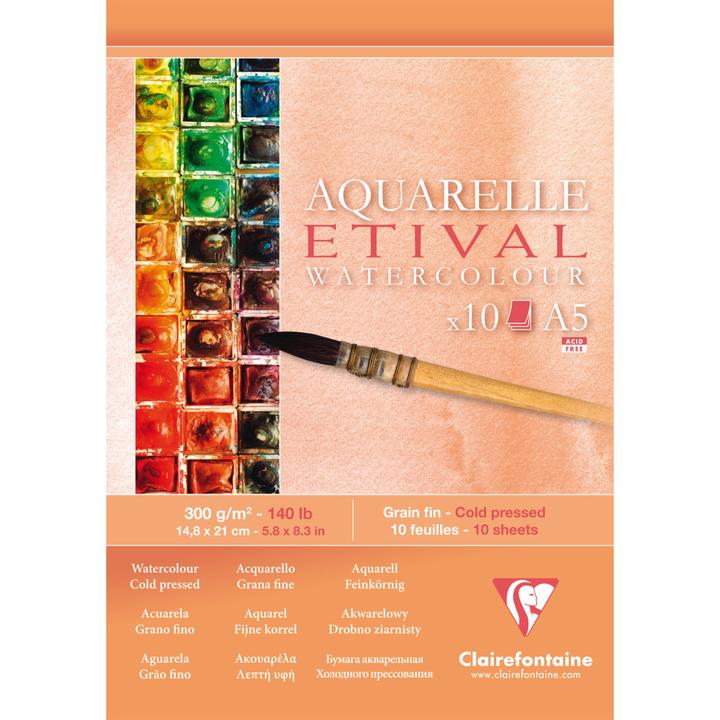 Actual product image Clairefontaine Moist techniques (300 g/m², 480 x)