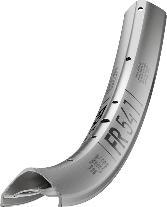 DT Swiss Felge FR 541 (29")