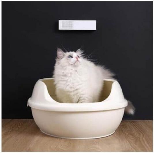Produktbild Petkit Pura Air Smart Odor Eliminator (Hund, Katze)