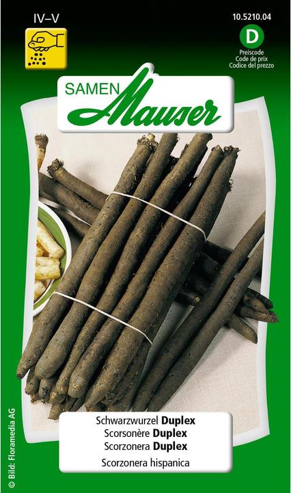 Samen Mauser Schwarzwurzel Duplex (Gemüsesamen)