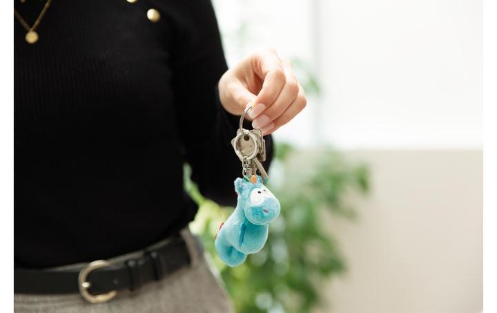 Actual product image NICI Laguna Rainbow key fob