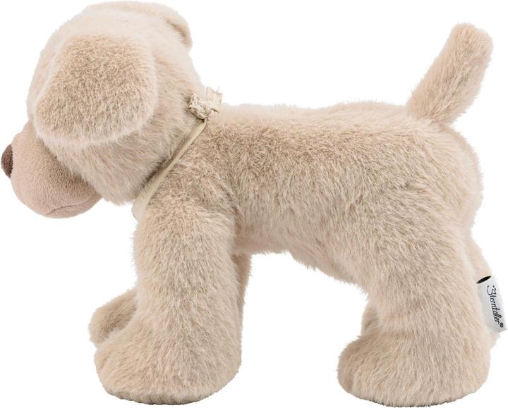 Actual product image Sterntaler 3002426 Cuddly toy, multicoloured (21 cm)