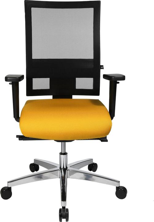 Actual product image Topstar Profi Net 11