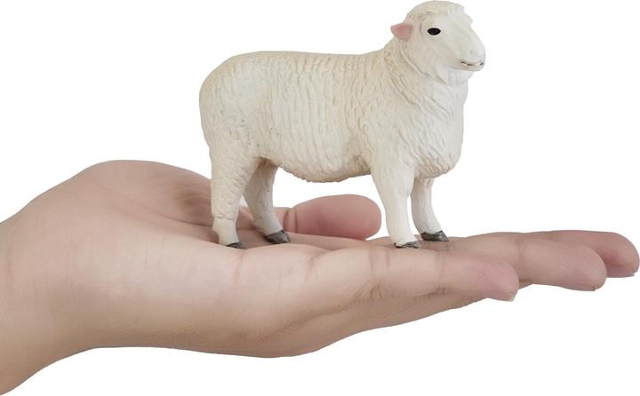 Actual product image Mojo Romney rams