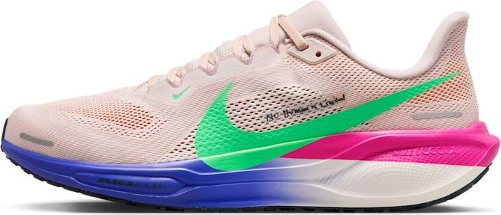 Produktbild Nike Pegasus 41 EK (44)