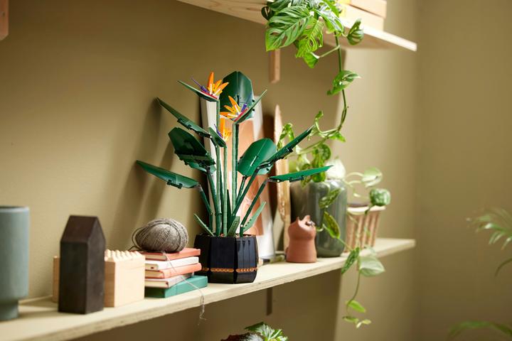 Actual product image LEGO Bird of Paradise (10289, LEGO Rare Sets)