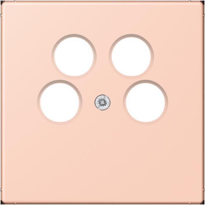 Ochre, Rose