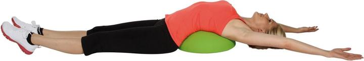 Produktbild Schildkröt Dynamic (40 cm)