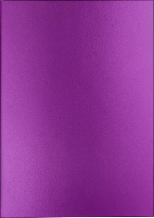 Caran d'Ache Colormat-X (A5, À rayures, Couverture rigide)