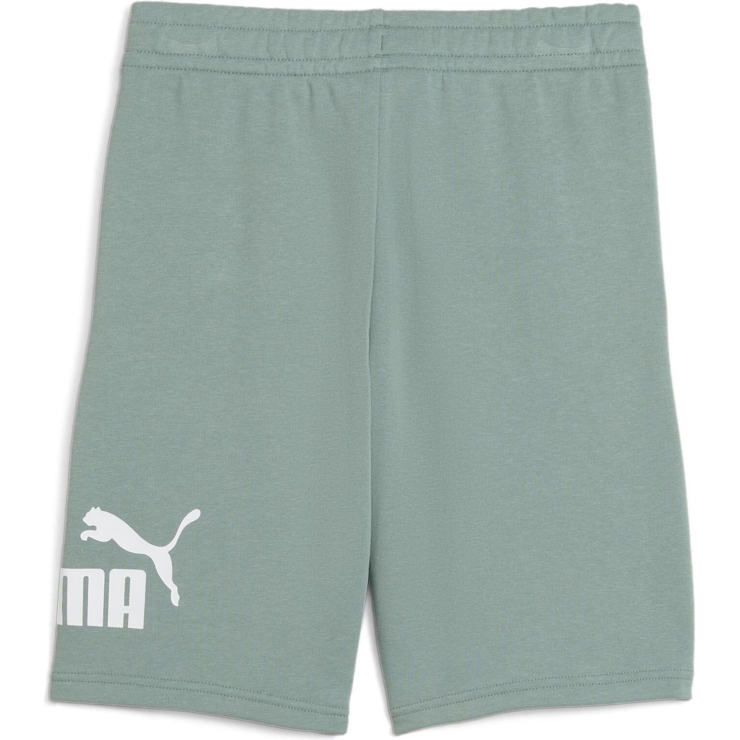 Thumbnail - Puma, Jungen, Sporthose, ESS No. 1 Logo Shorts TR B (128), Grün, 128