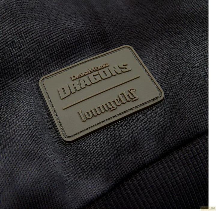 Actual product image Loungefly Dreamworks by Sweatshirt Unisex How to Train your Dragon Size XL (XL)