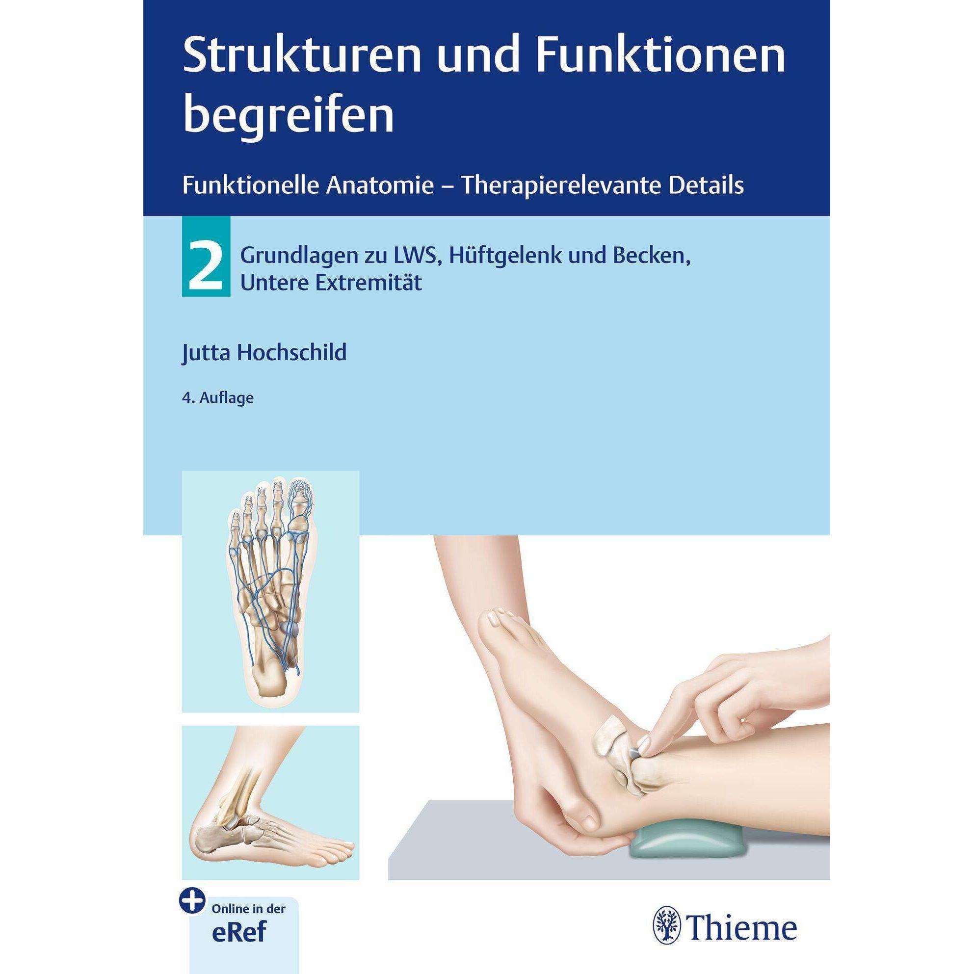 Strukturen und Funktionen begreifen - Funktionelle Anatomie, Fachbücher von Jutta Hochschild