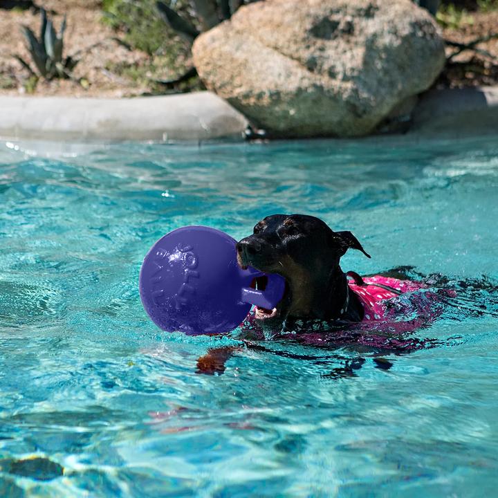 Immagine prodotto Jolly Pets Gioco per cani Tug-N-Toss