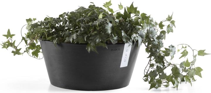 Produktbild Ecopots Frankfurt (50 cm)