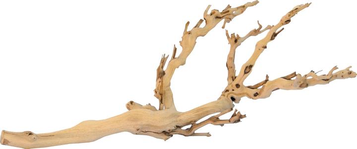 Exo Terra Kit de décoration pied de vigne sablé