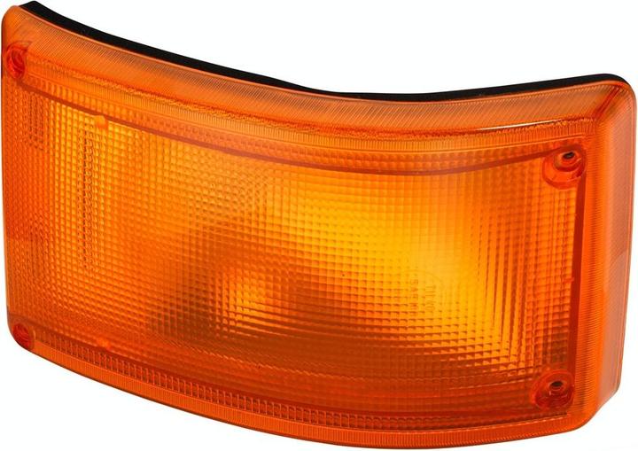 Image du produit Hella Clignotant halogène pour MACK