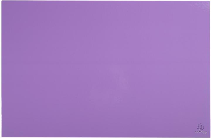 Exacompta Sous-main (585 x 385 mm)