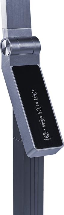 Image du produit Beliani Lampadaire gris foncé LED CARINA (760 lm)