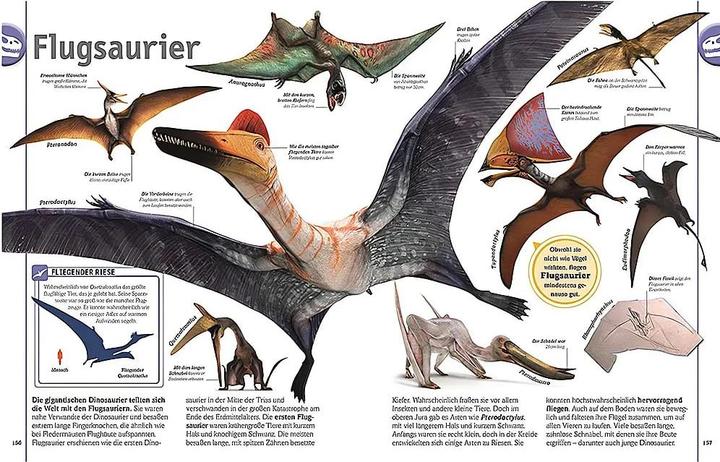 Immagine prodotto Dinosaurier (Tedesco, John Woodward, 2018)