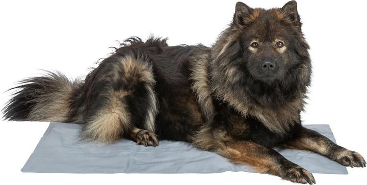 Immagine prodotto Trixie Tappetino di raffreddamento (Gatto, Cane)