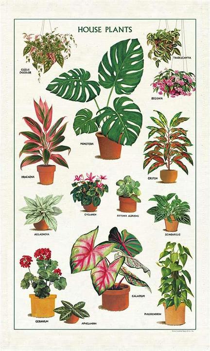 Image du produit Cavallini Serviette "Plantes d'intérieur (80 x 40 cm)