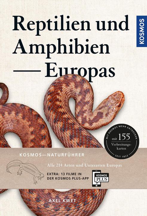 Produktbild Kosmos Reptilien und Amphibien Europas (Deutsch, Axel Kwet, 2022)