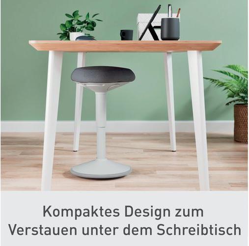 Actual product image Leitz Ergo Active