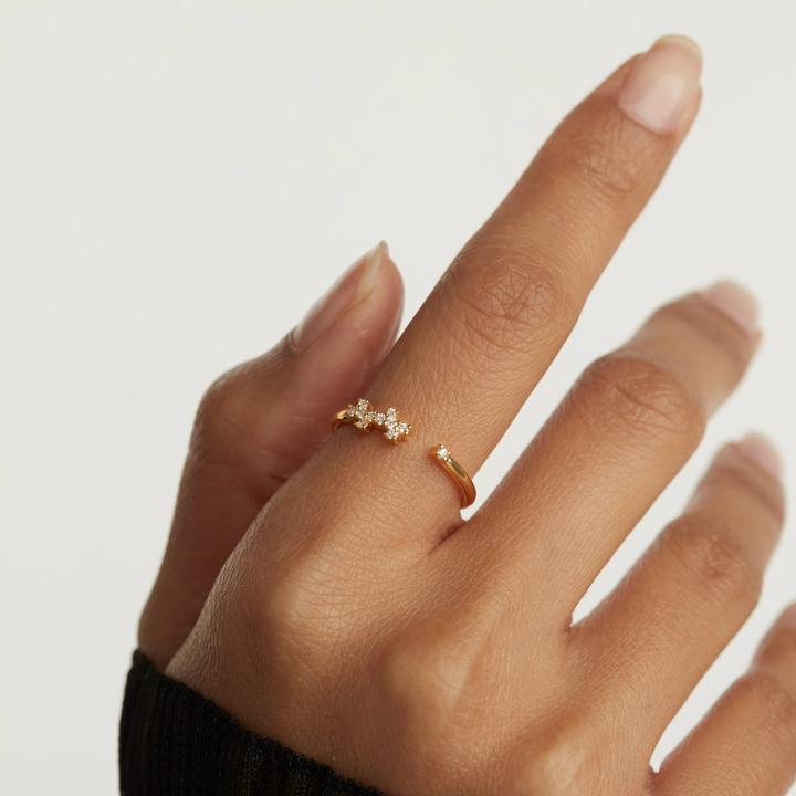 Produktbild Pd Paola Prince Gold Ring (56, 925 Silber)